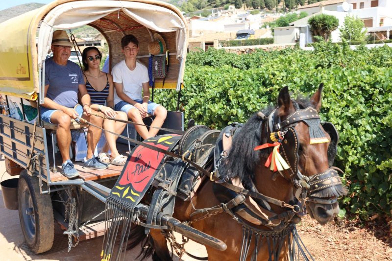 La presentació i l’entrada de la murta aporten l’ambient a l’arranc de les festes de Llíber La presentació i l’entrada de la murta aporten l’ambient a l’arranc de les festes de Llíber